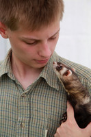 Ferret Friend