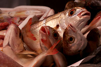 Fish Market